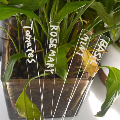 1Set Transparent Eco-Friendly Acrylic Herb Signs Plant Label Eco-Friendly Acrylic Plant Tag T-Type Markers Gardening
