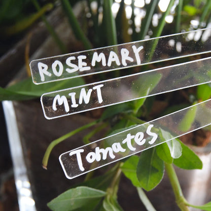 1Set Transparent Eco-Friendly Acrylic Herb Signs Plant Label Eco-Friendly Acrylic Plant Tag T-Type Markers Gardening